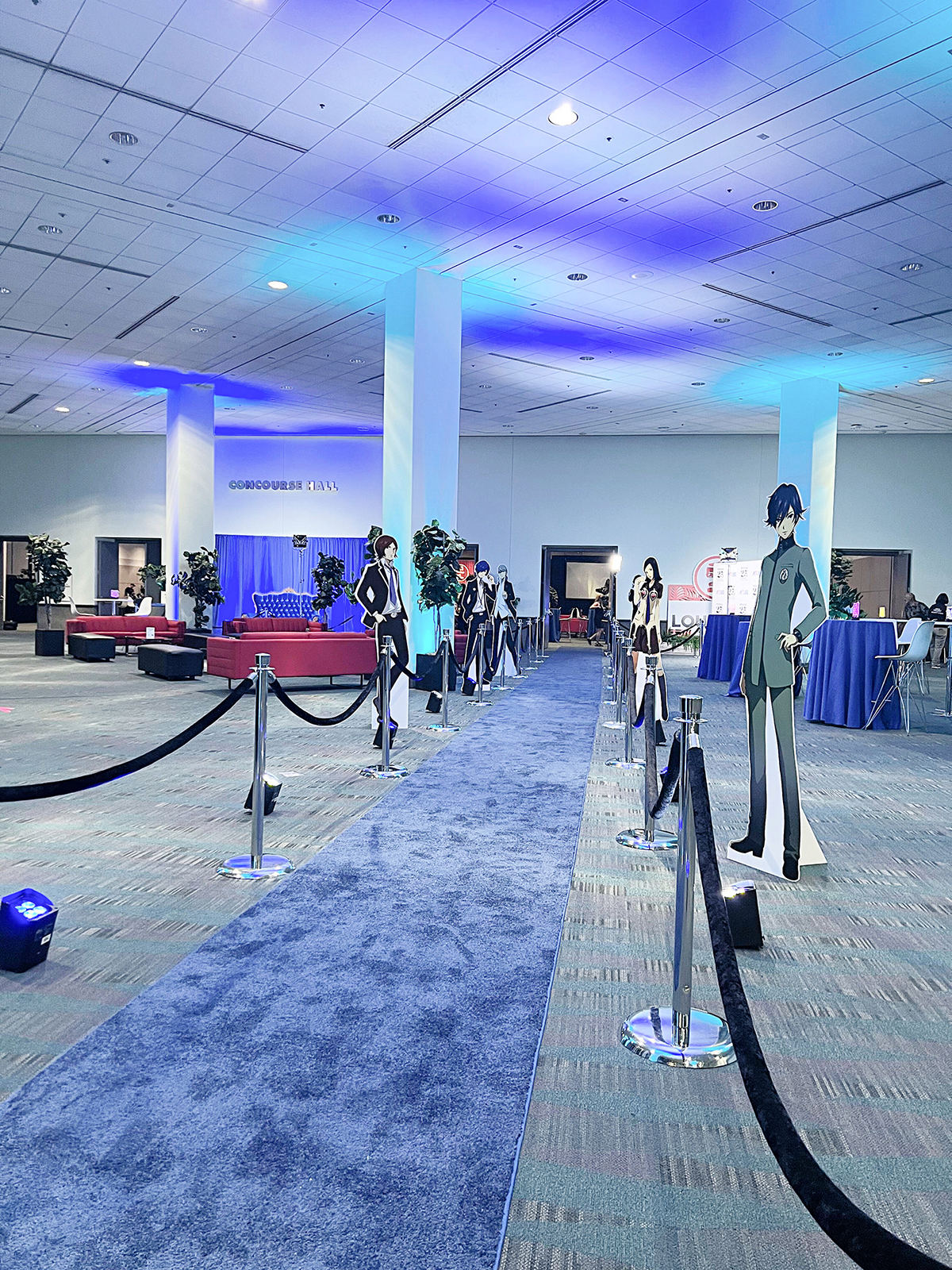 Skeleton Run — Orthopaedic Summit